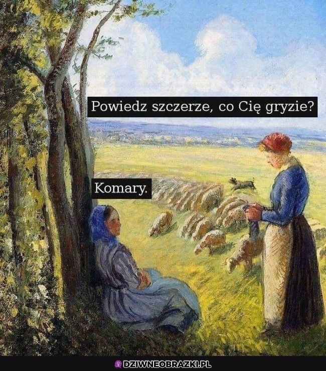Właśnie to