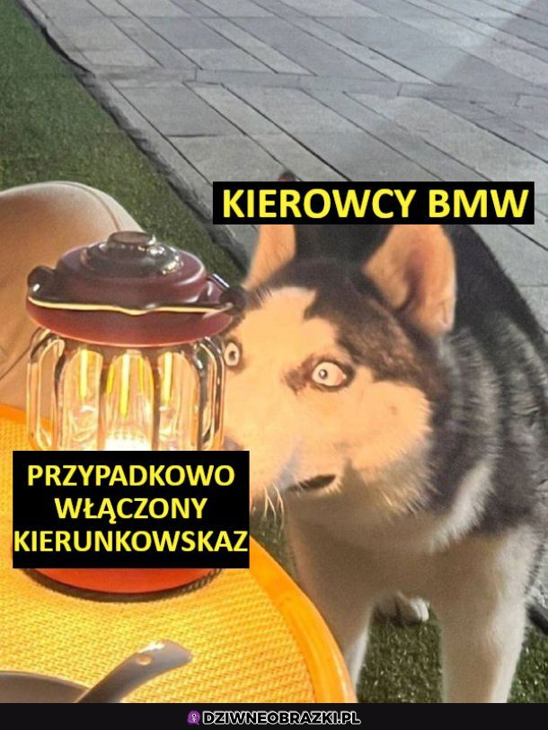 A czo to za lampka?