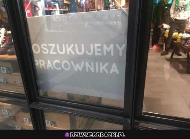 Przynajmniej są szczerzy