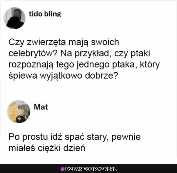 Nocne rozkminy