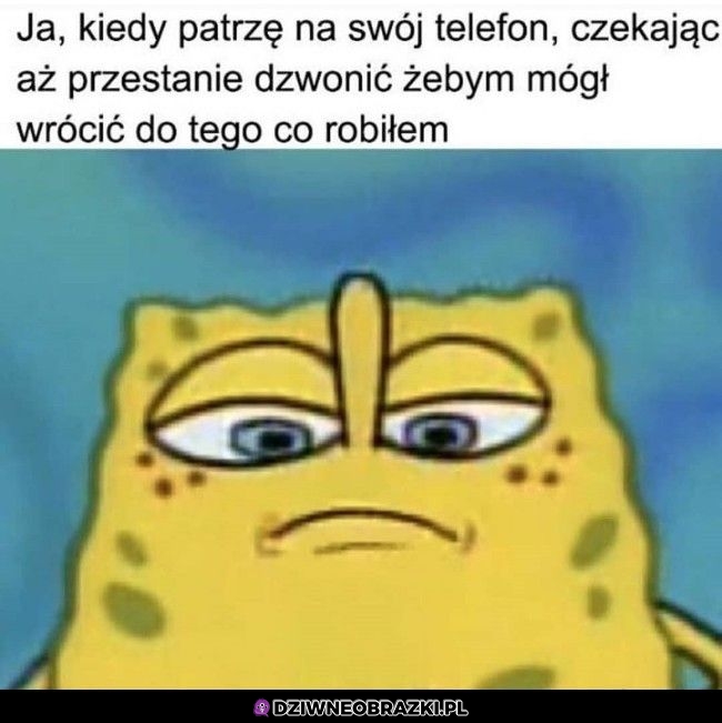 kiedy dzwoni jakiś random