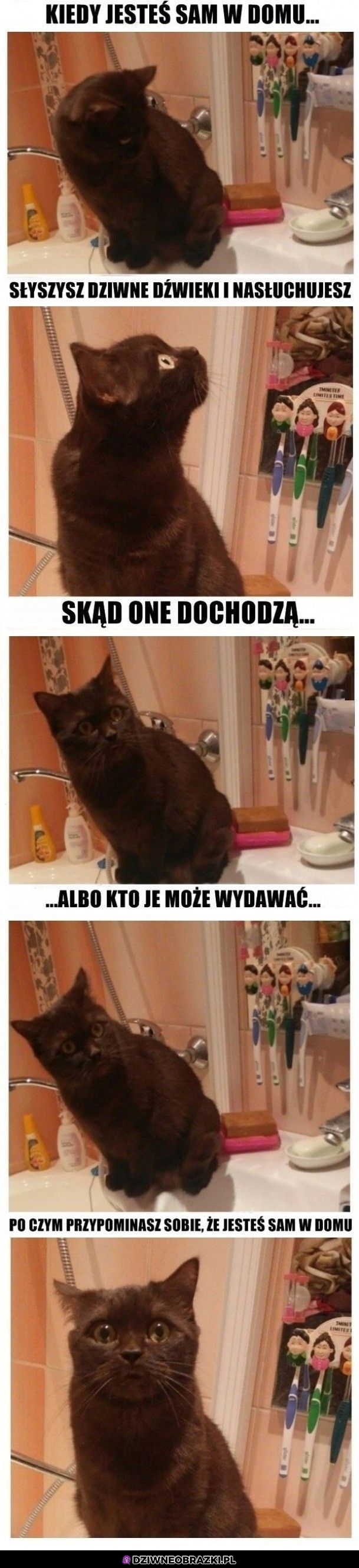 Kiedy jesteś sam w domu