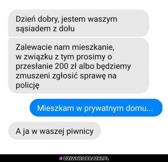 Kiedy oszust jest uparty