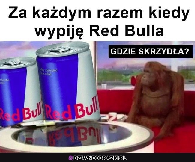 No i gdzie one są?