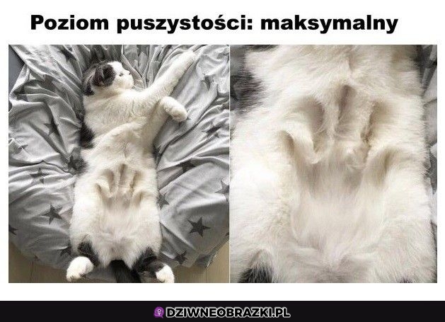 Maksymalny poziom