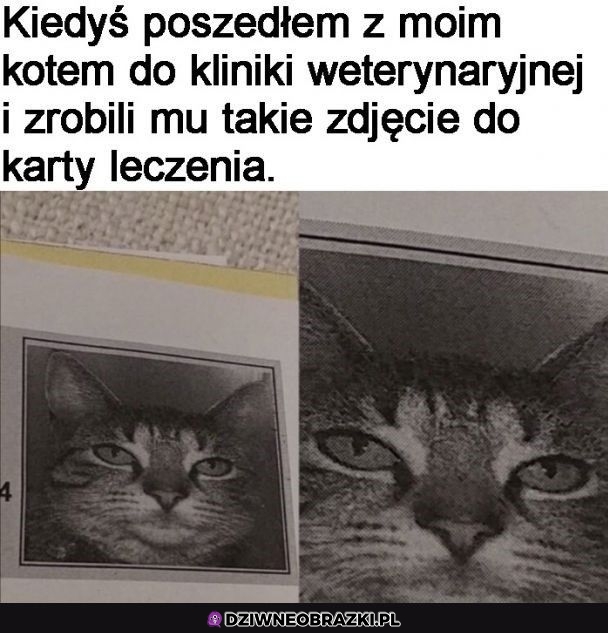 Takie foto