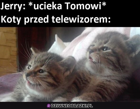 Ten moment