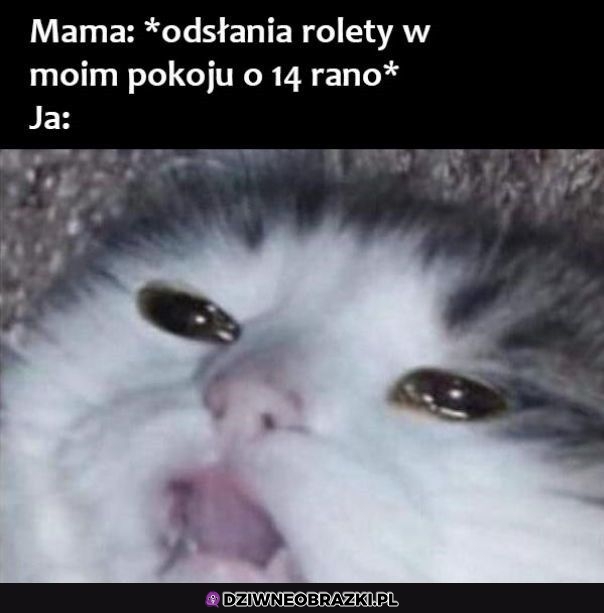 No weź