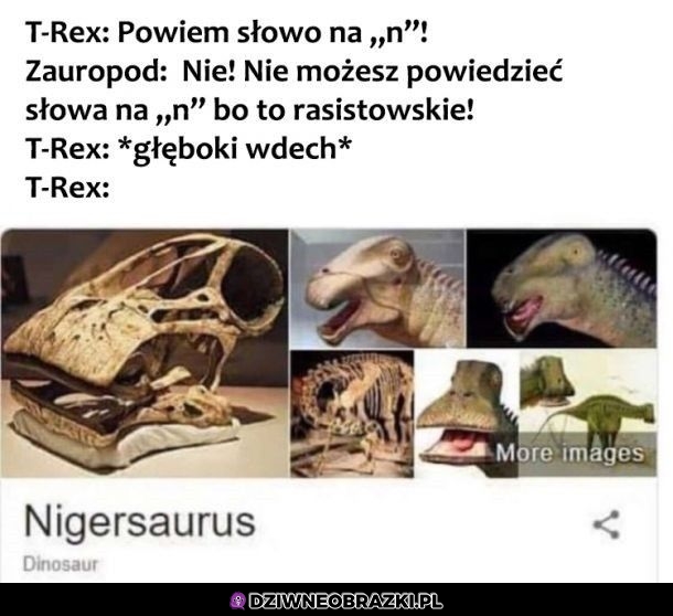 Słowo na N