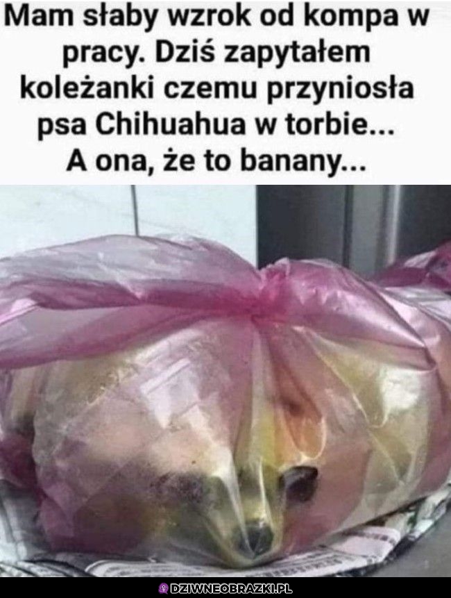 Można się pomylić