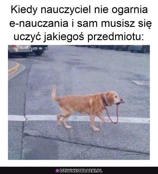 Najgorzej
