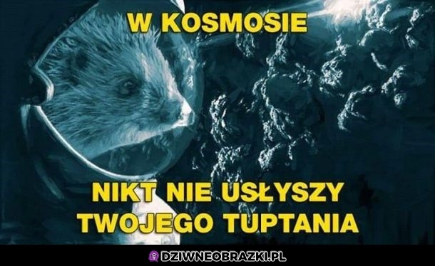 Rozkmina