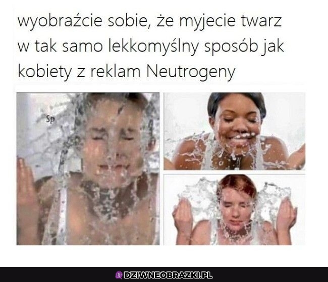 Bez kitu