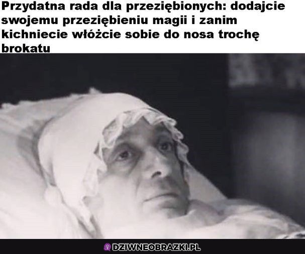 Złota rada