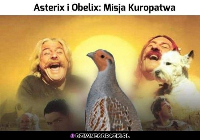 Nowa wersja