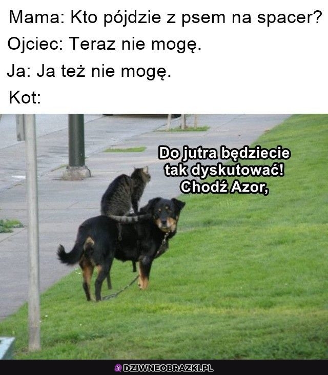 Ktoś to musi zrobić