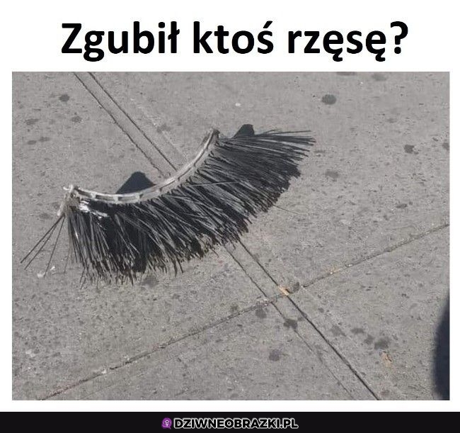 Halo, dziewczyny