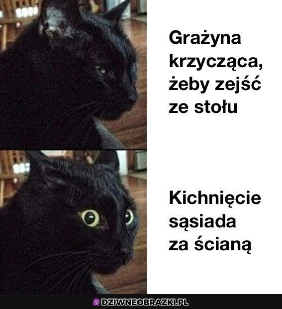 Priorytety