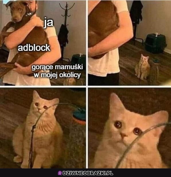 I już nie ma ich w okolicy :(