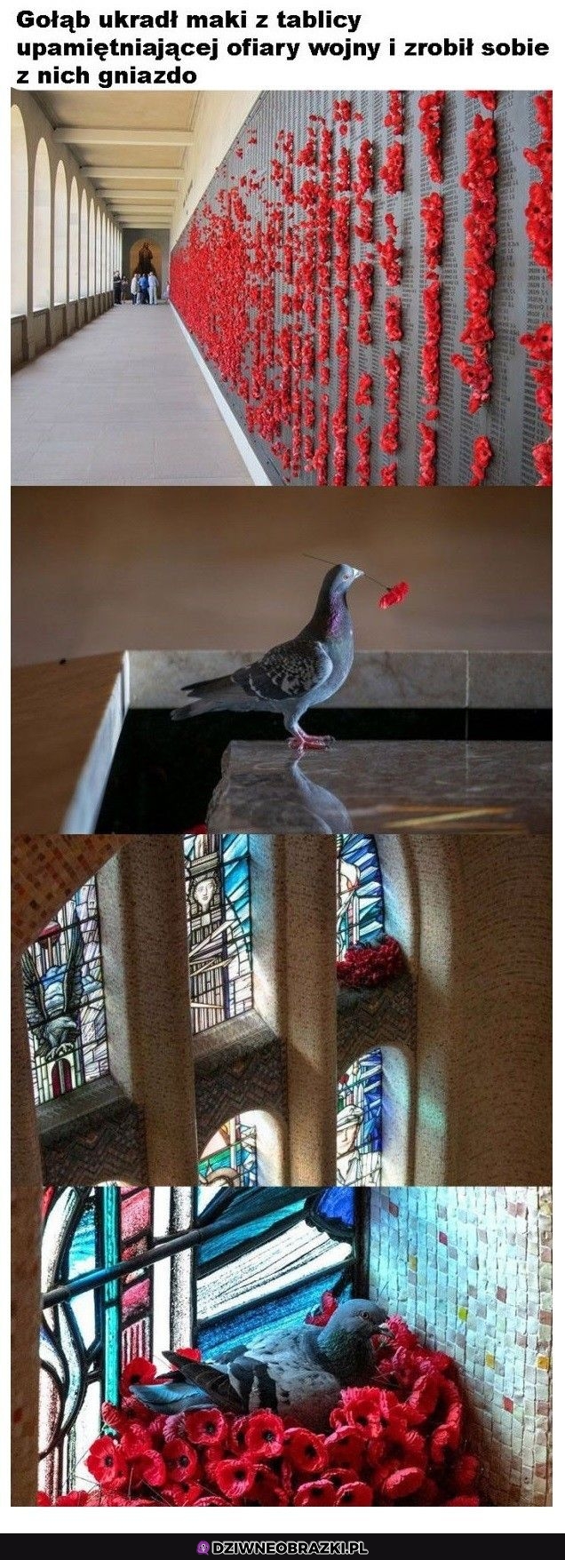Niezłe gniazdko