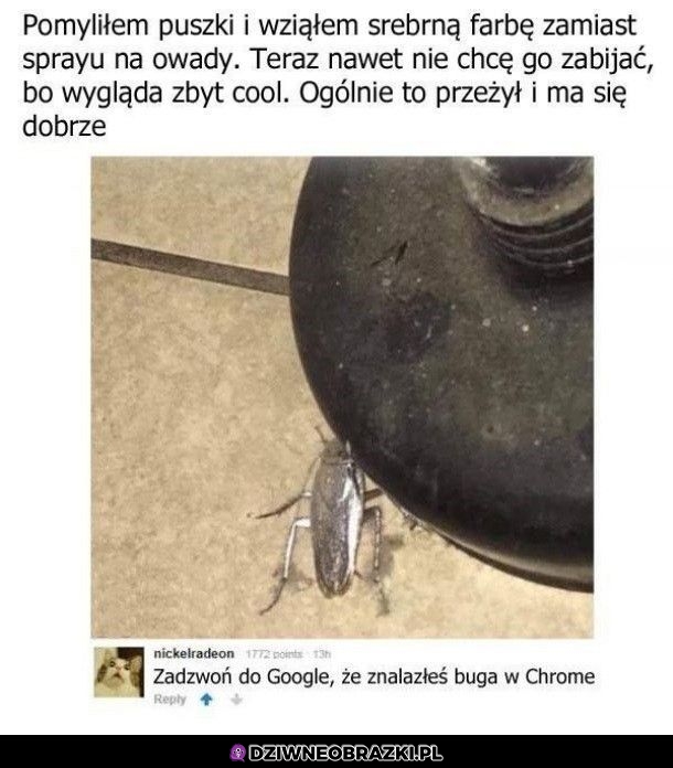 Pomyłeczka