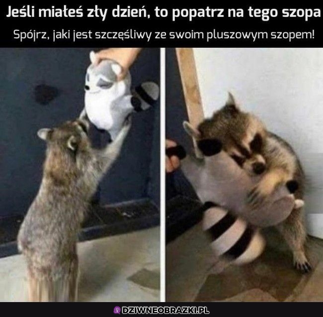 Coś na poprawę