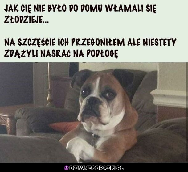 Tak było