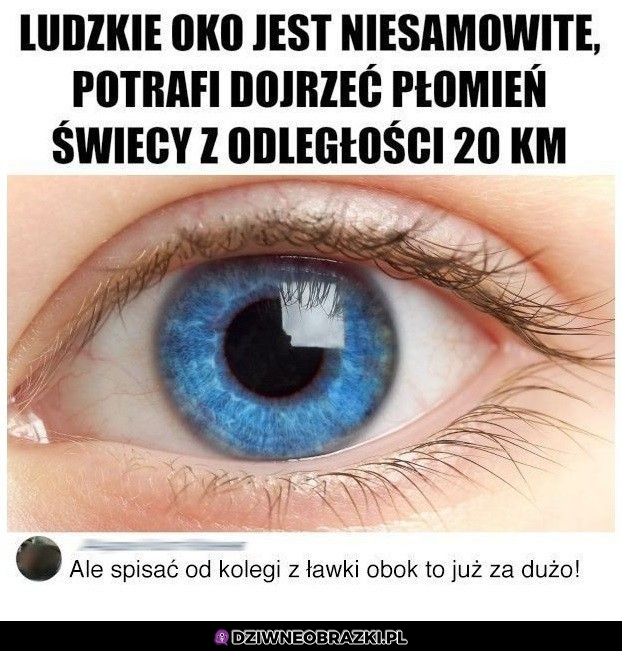 Ludzkie oko