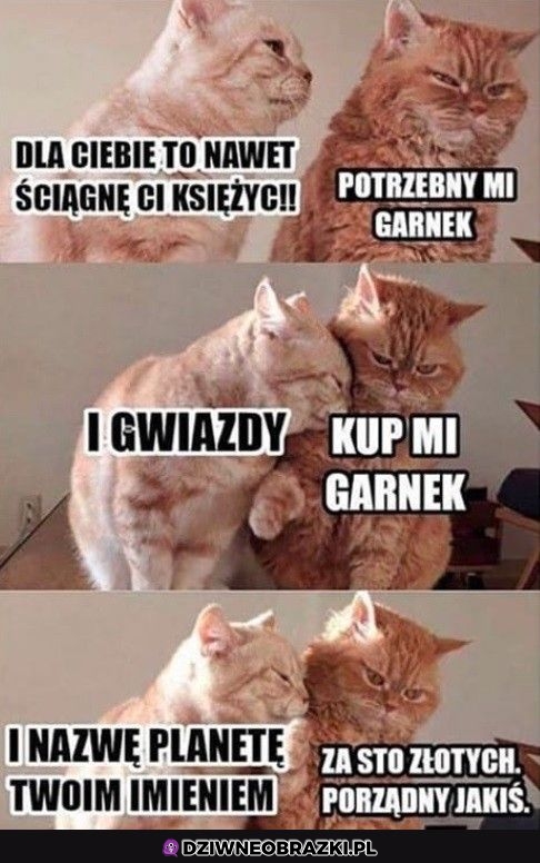 Prawdziwa potrzeba