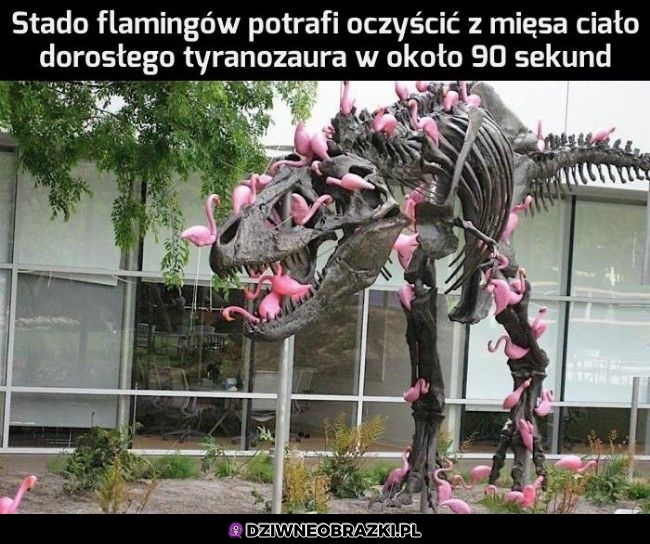 Krwiożercze gnojki