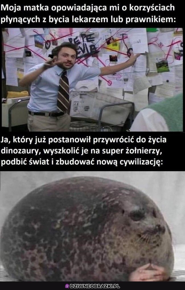 Decyzje już zapadły