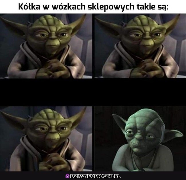 Kółka w wózkach