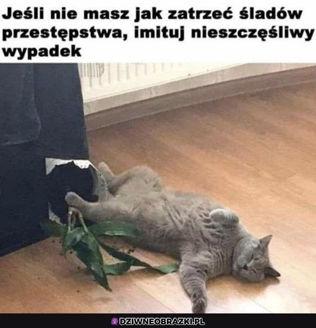 Tak rób