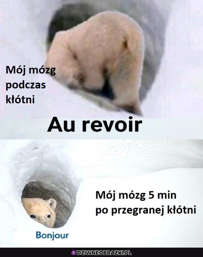 Ten moment