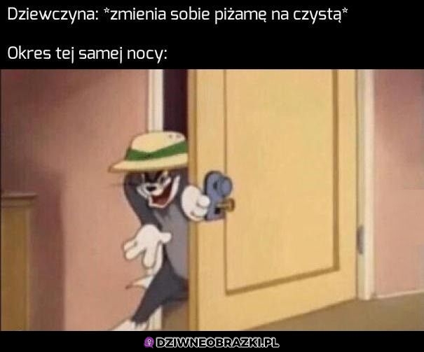 No witam
