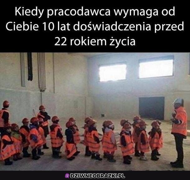 Trzeba zbierac expy