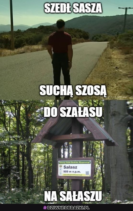 Saszka, Saszka 