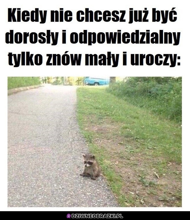 Pier*olę chcę zawrócić