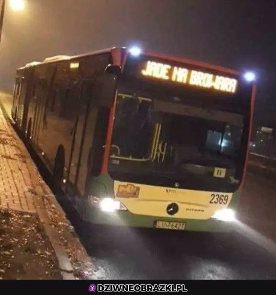 Najlepszy kurs