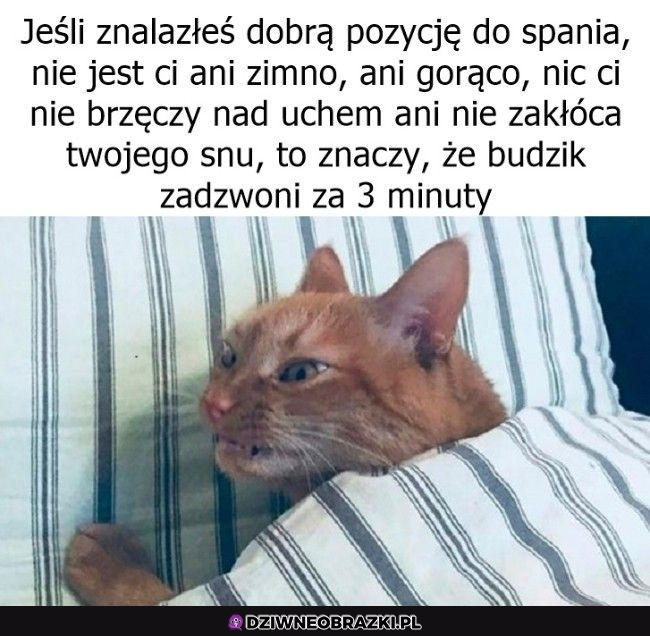 jeżeli jest ci dobrze w łóżku to...