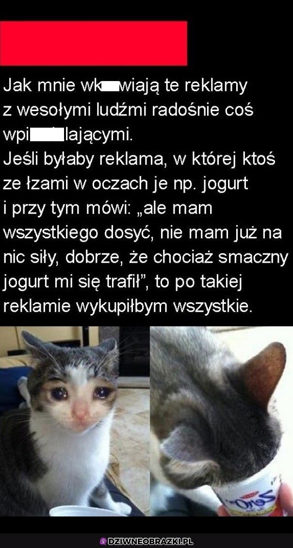 Wkurwiające reklamy