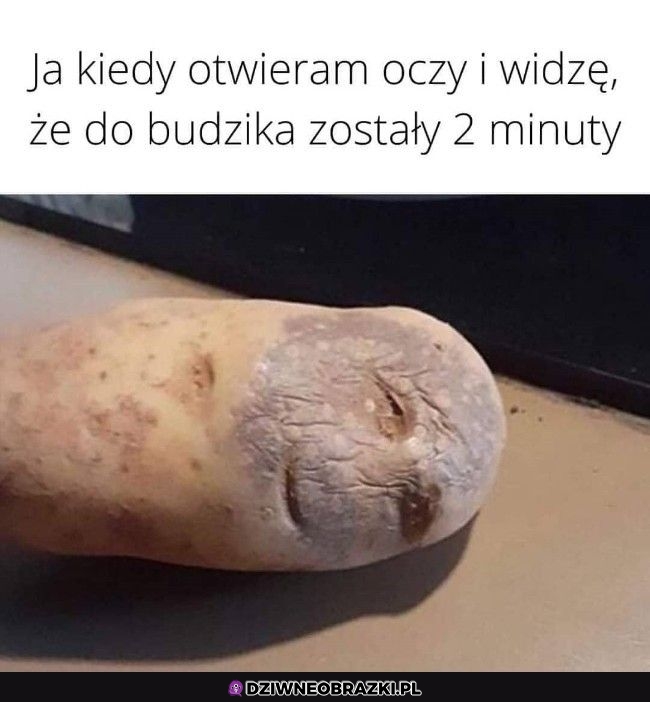 Ten moment