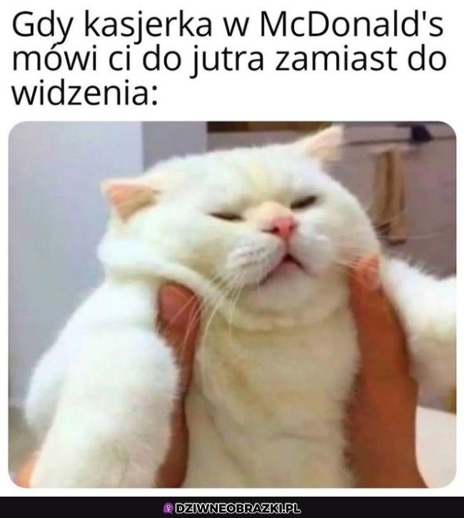 Taki twój wygląd pewnie