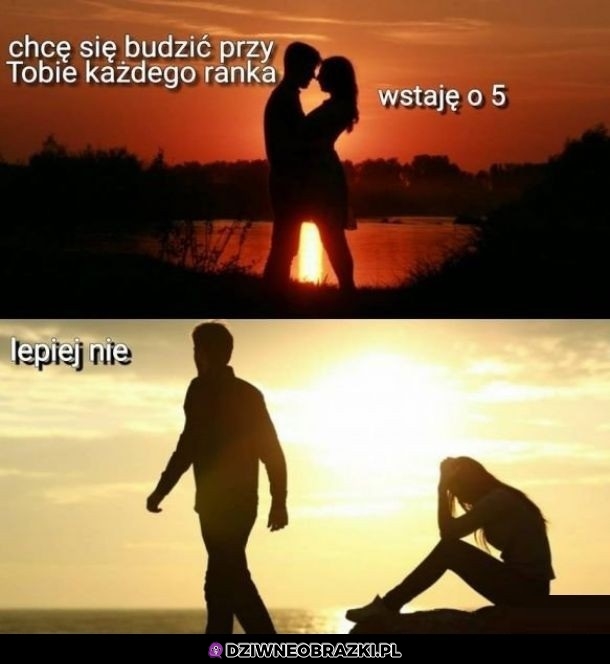 Jednak nie