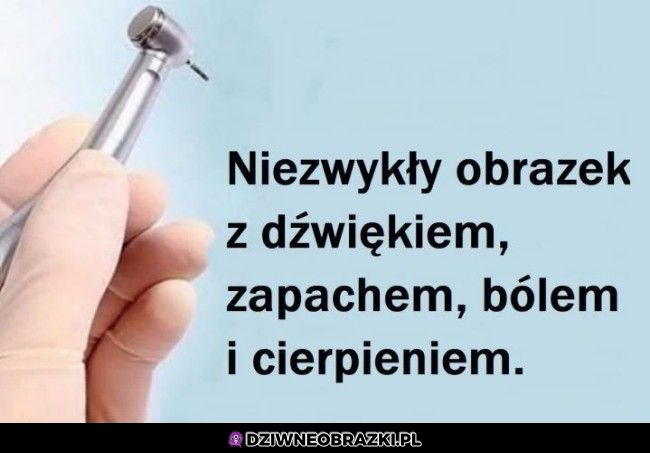 Niesamowite