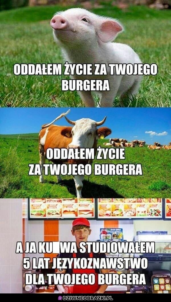 To wszystko dla burgera