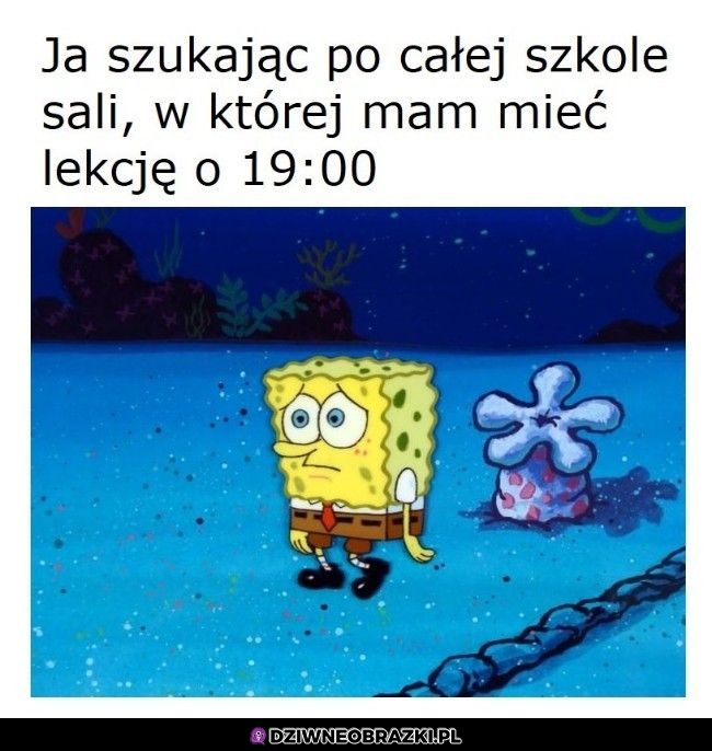 Ten moment