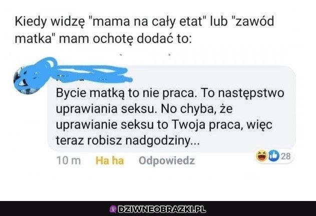 Kiedy widzę madki na pełen etat