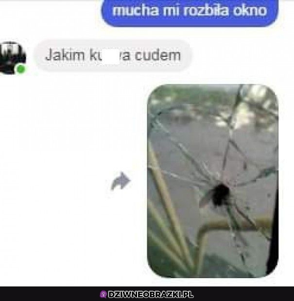 No udało jej się