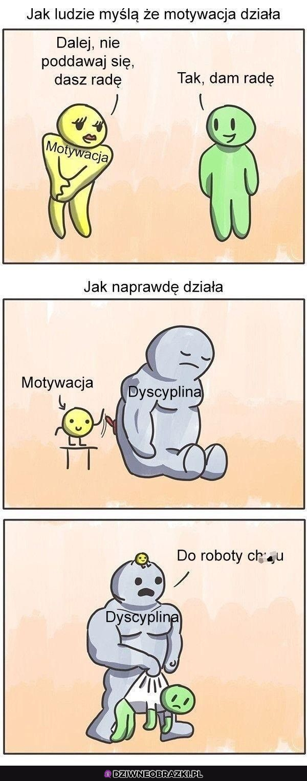 odpowiednia motywacja xD